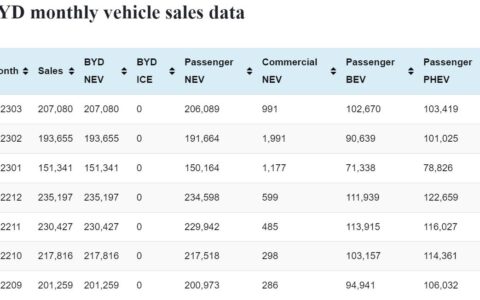 BYD Mar NEV sales: 207,080