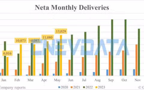 Neta deliveries in May: 13,029