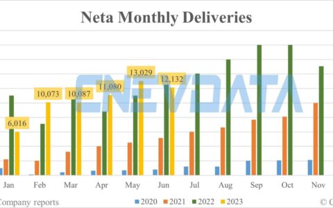 Neta deliveries in Jun: 12,132