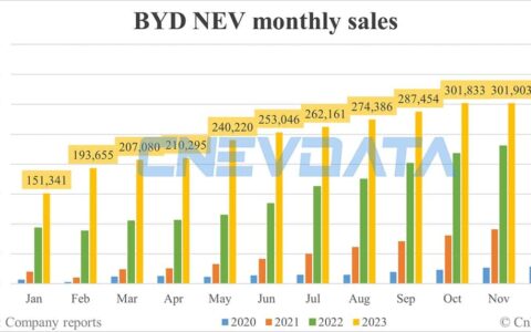 BYD NEV sales in Dec: 341,043
