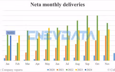 Neta deliveries in Jan: 10,032