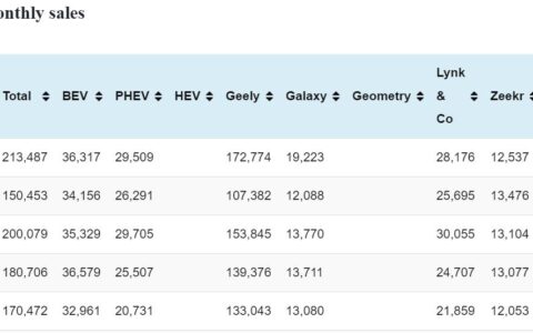 Geely sales in Jan: 213,487