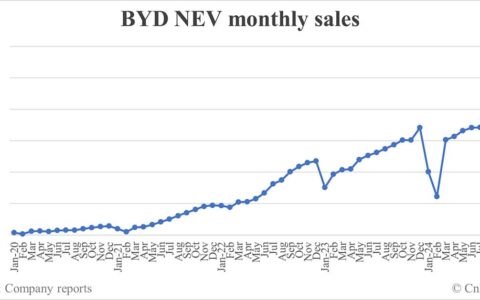 BYD NEV sales in Oct: 502,657