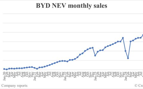 BYD NEV sales in Nov: 506,804