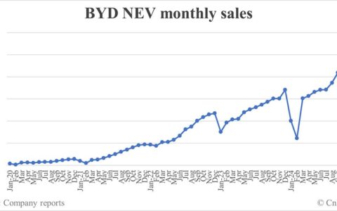 BYD NEV sales in Dec: 514,809