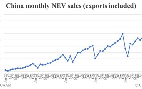 China Dec NEV sales data by CAAM: 1,596,000