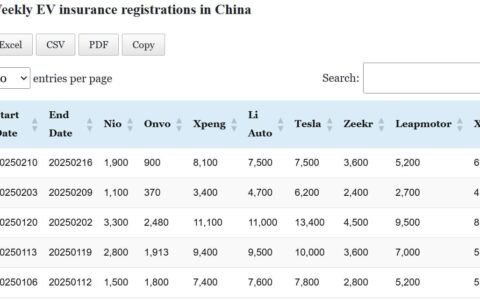 Data table: China EV insurance registrations in Feb 10-16
