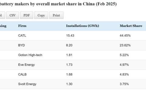 Data table: Top EV battery makers' installations in China in Feb 2025