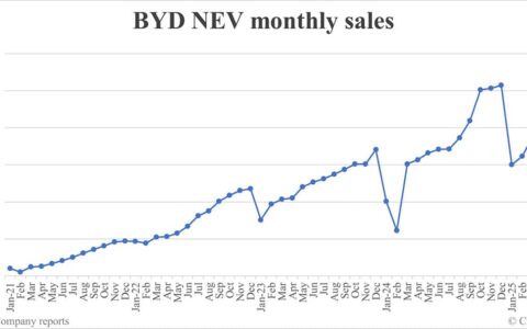 BYD NEV sales in May: 382,476