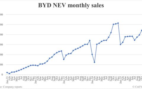 BYD NEV sales in Nov: 480,186