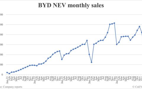 BYD NEV sales in Feb: 190,190