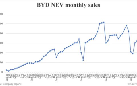 BYD NEV sales in May: 383,453